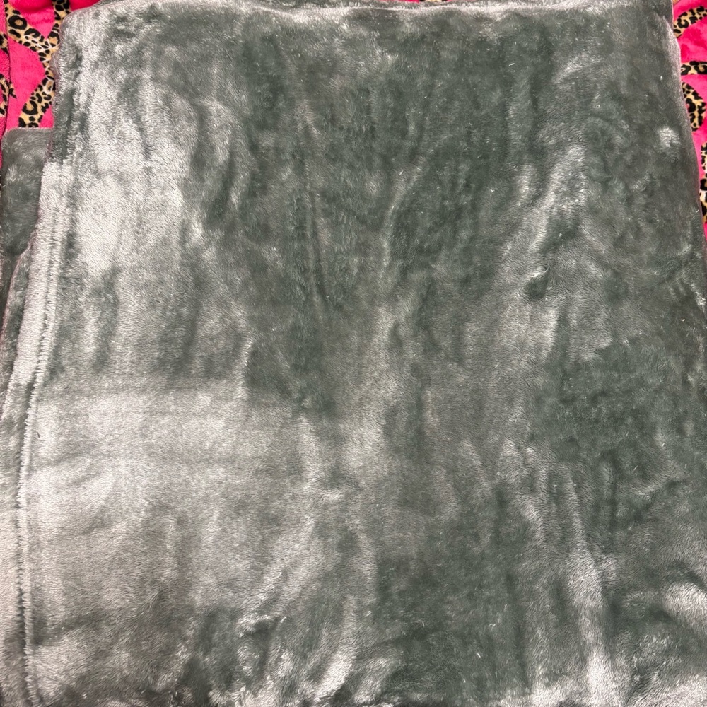 Soft Green Plush Blanket